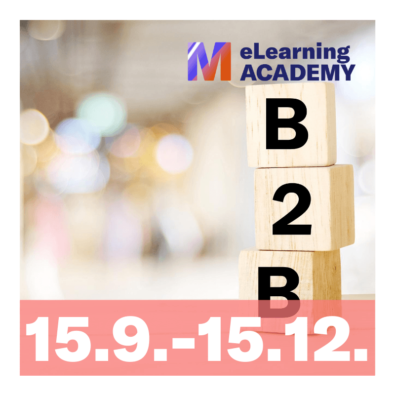 B2B Marketing Expert